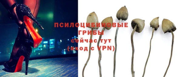 шишки Тихорецк
