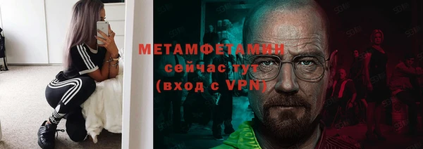 прущие грибы Волосово
