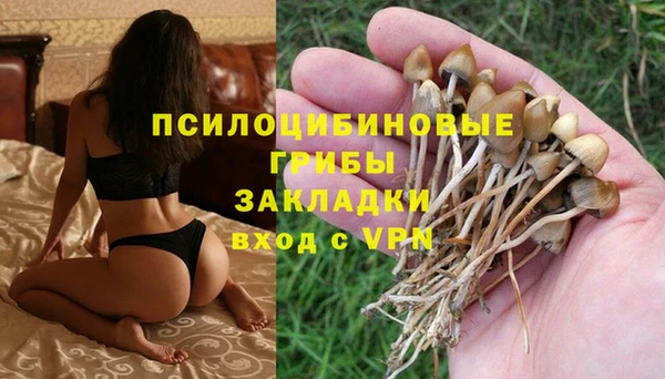 прущие грибы Волосово