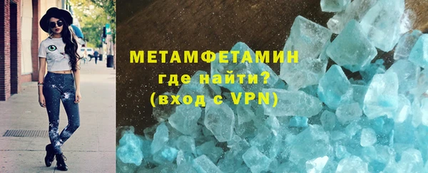 прущие грибы Волосово