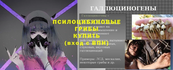 герыч Тобольск