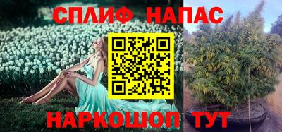 марихуана Будённовск