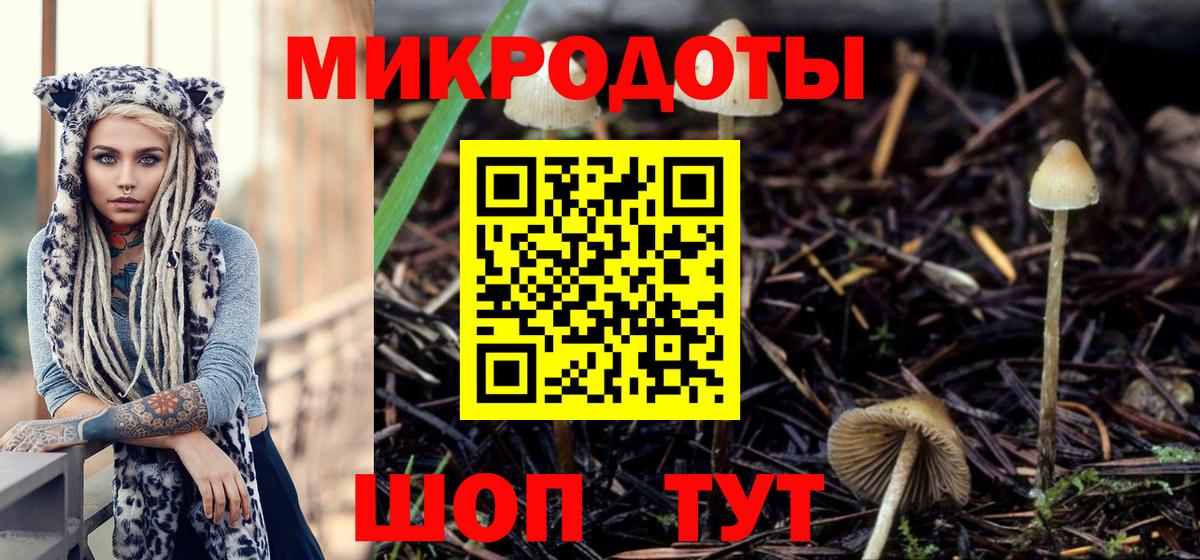 Псилоцибиновые грибы Cubensis Дзержинский