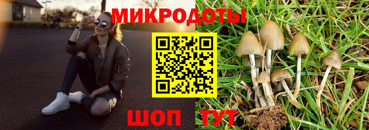 Галлюциногенные грибы Psilocybine cubensis  Вход с VPN  где купить наркоту  Дзержинский 